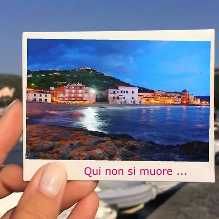 Cilento Clara アパート モンテコーリチェ