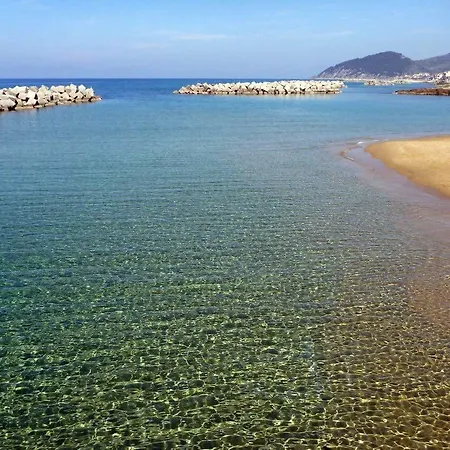 Cilento Clara モンテコーリチェ