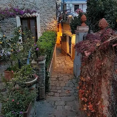 Cilento Clara *