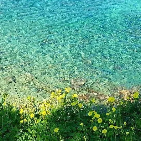 アパート Cilento Clara