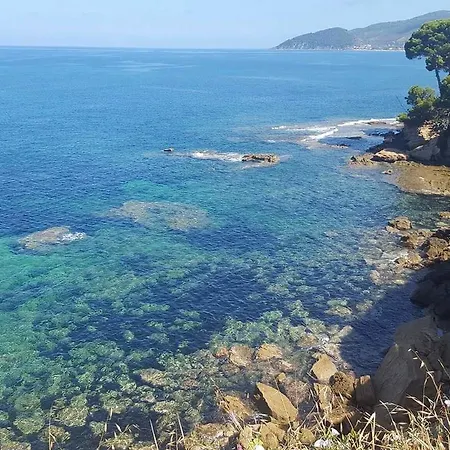 Cilento Clara