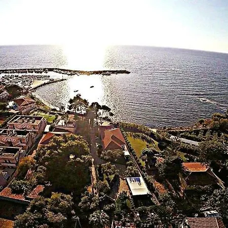 Cilento Clara